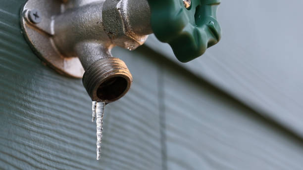 Best Shower Repair Services  in Bayou Vista, TX